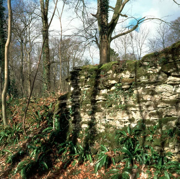 Moss Broken Drystone Wall Cotswolds Gloucestershire Inglaterra Reino Unido Europa — Foto de Stock