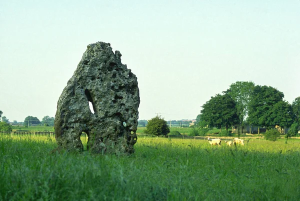 Αρχαία Πέτρα Στέκεται Tingle Stone Minchinhampton Gloucestershire Cotswolds Αγγλία Ηνωμένο — Φωτογραφία Αρχείου