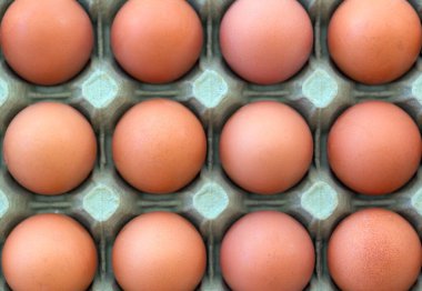 Bir tepsi taze yumurta. Sığ alan derinliği.