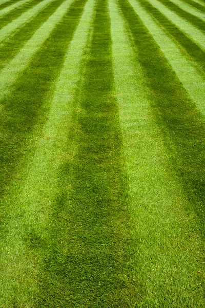 Prato Giardino Con Strisce Falciatrici — Foto Stock