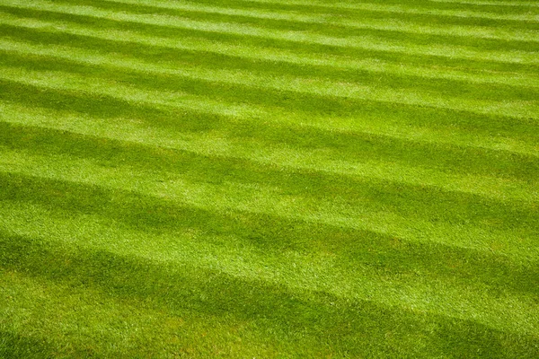 Garden Lawn Mower Stripes — Stock Photo, Image