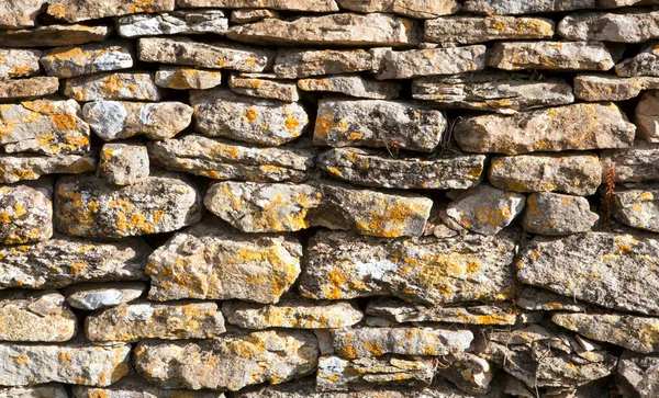 Zerbröckelnde Alte Flechten Bedeckt Cotswold Trockenmauer Textur — Stockfoto