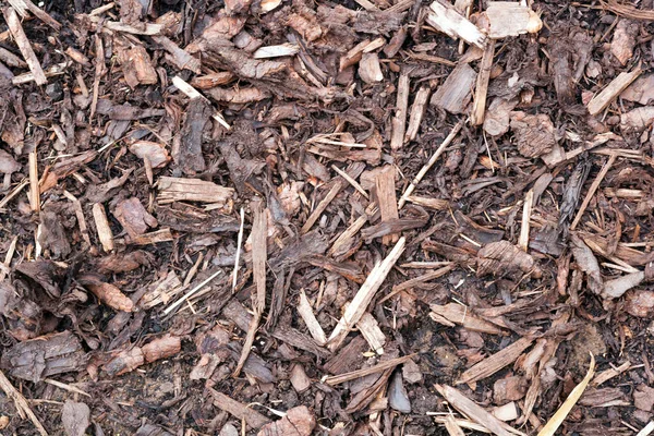 Garden Landscaping Shredded Bark Full Frame Texture Closeup — Stock Photo, Image