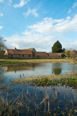İngiltere 'nin en uzun ömürlü yeşili, bahar güneşinde Frampton Severn, Gloucestershire, İngiltere