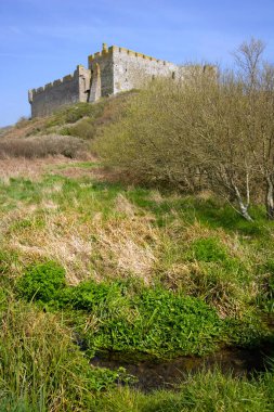 Manorbier Şatosu ilkbahar güneşinde, Manorbier, Pembrokeshire, Galler, İngiltere