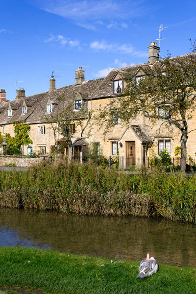 Idilli Régi Kőházak Lower Slaughter Őszi Napsütésben Cotswolds Gloucestershire Anglia — Stock Fotó