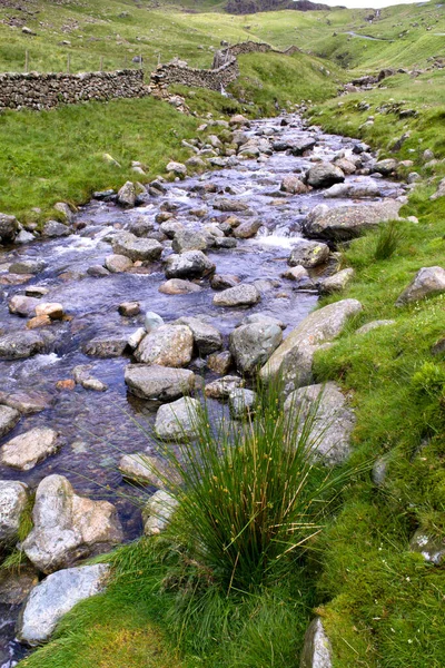 Pittoresco Torrente Montagna Scende Lungo Collina Vicino Alla Cima Del — Foto Stock