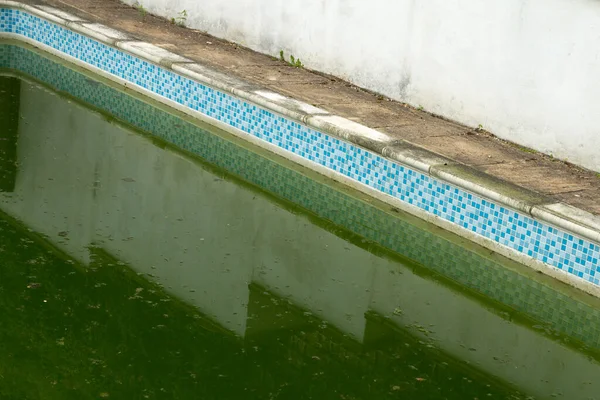 Слизистый Зеленый Бассейн Нуждается Очистке — стоковое фото