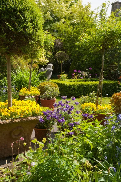 Pequeño Jardín Verano Densamente Plantado Con Arbustos Color — Foto de Stock