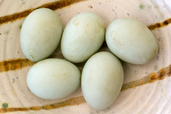 Bir Kasede Beş Taze Ördek Yumurtası Sığ Alan Derinliği — Stok fotoğraf