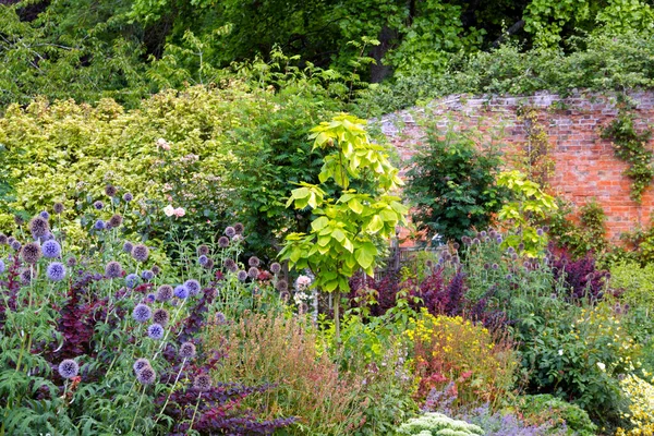 Colouful summer garden border in a walled garden