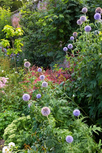 Barevné Letní Zahrádka Hranice Zděné Zahradě — Stock fotografie