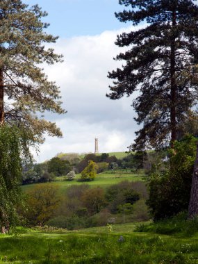 Wotton Under Edge, Gloucestershire, İngiltere yakınlarındaki Cotswold yamacındaki Tyndale Anıtı 'na ağaçların arasından bir göz atın.