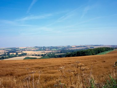 Tarlaların, Gloucestershire 'ın, Cotswold' un, İngiltere 'nin, İngiltere' nin, İngiltere 'nin, Avrupa' nın...