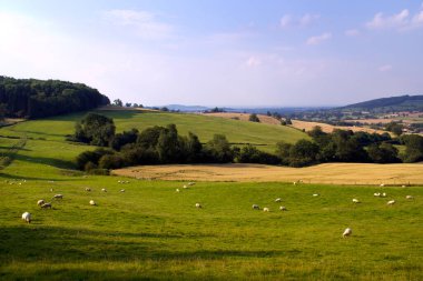 İngiltere 'nin Gloucestershire, Winchcombe yakınlarındaki Cotswold kırsalındaki huzurlu bir vadinin akşam güneşi manzarası..