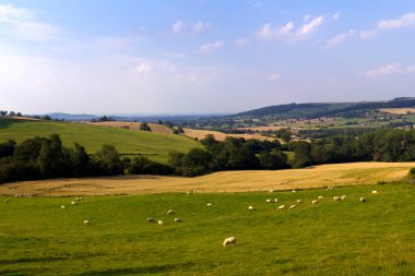 İngiltere 'nin Gloucestershire, Winchcombe yakınlarındaki Cotswold kırsalındaki huzurlu bir vadinin akşam güneşi manzarası..