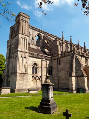 Tarihsel Malmesbury Manastırı bahar güneşinde, Wiltshire, İngiltere