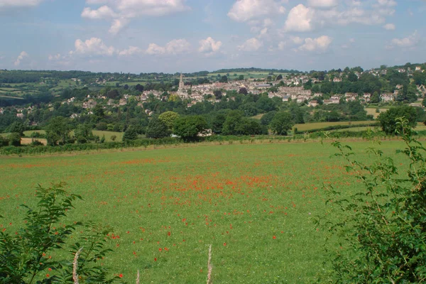 Haşhaş Tarlası Painswick Gloucestershire Cotswolds Ngiltere Ngiltere — Stok fotoğraf