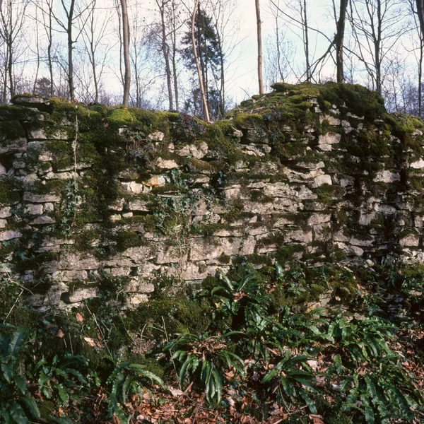 Moss Breakdown Drystone Wall Cotswolds Gloucestershire Αγγλία Ηνωμένο Βασίλειο Ευρώπη — Φωτογραφία Αρχείου