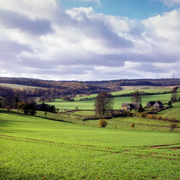 Soleil Hiver Sur Paysage Vallonné Cotswold Gloucestershire Royaume Uni — Photo