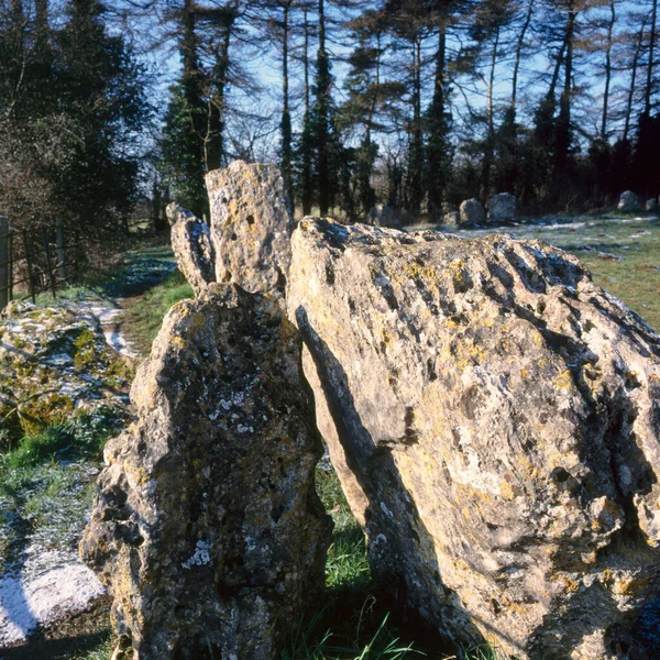 Rollright Stones Αρχαίο Πέτρινο Κύκλο Oxfordshire Cotswolds Αγγλία Ηνωμένο Βασίλειο — Φωτογραφία Αρχείου
