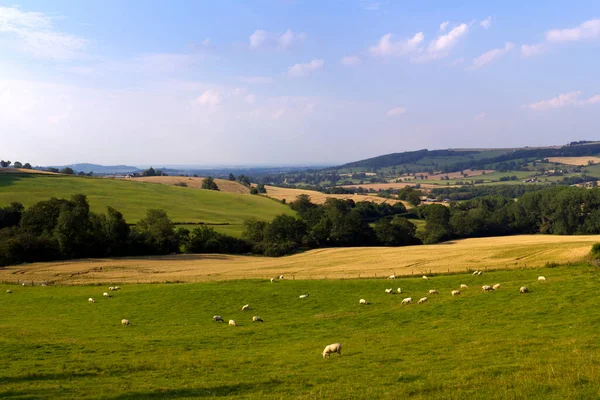 Vue Ensoleillée Soirée Une Vallée Idyllique Dans Campagne Cotswold Près — Photo