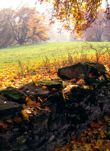 英国格洛斯特郡一个摇摇欲坠的科茨沃尔德石墙上挂着秋天的叶子 — 图库照片