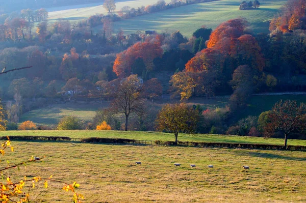 Herfst Kleurweergave Van Idyllisch Slad Valley Gloucestershire Cotswolds Engeland — Stockfoto