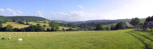 Landsbygden Cotswold Landskap Fält Nära Painswick Gloucestershire Storbritannien Sittande Panorama — Stockfoto