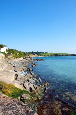 Güzel bir yaz sabahında İngiltere 'nin Cornwall, Portscatho' daki sahil şeridi manzarası.