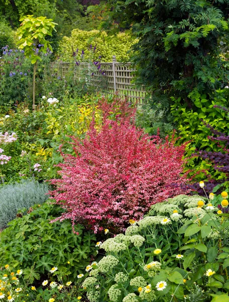 Colourful Summer Garden Border Walled Garden — Stock Photo, Image