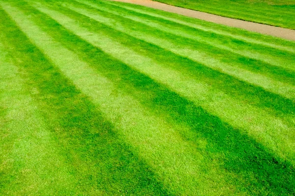 Kürzlich Gemähter Gartenrasen Mit Mähstreifen Vollständige Hintergrundtextur — Stockfoto