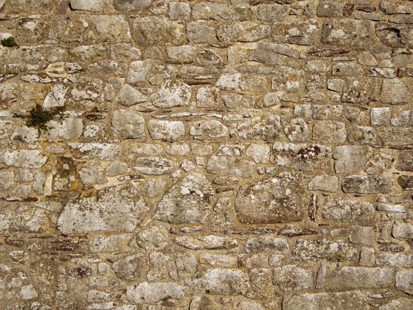 Texturas Parede Pedra Antigas Torno Catedral Menor Cidade Reino Unido — Fotografia de Stock