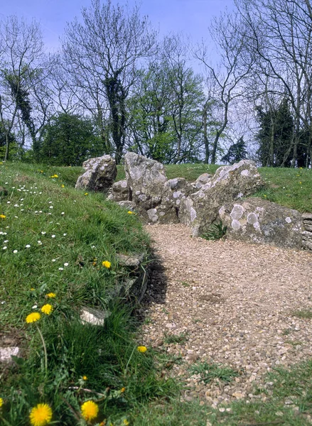 Los Restos Del Cementerio Prehistórico Nympsfield Long Barrow Coaley Peak — Foto de Stock