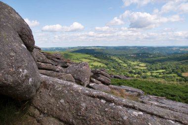 Tazı, Dartmoor, Devon, İngiltere, İngiltere