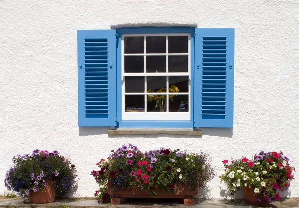 Azul Blanco Cornish Casa Junto Mar Ventana Obturada Mawes Cornwall — Foto de Stock