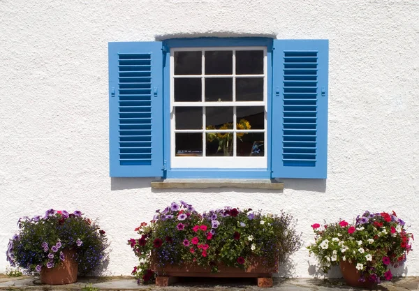 Mavi ve beyaz Cornish sahil kulübesi penceresi, St Mawes, Cornwall, İngiltere, İngiltere, İngiltere, Avrupa