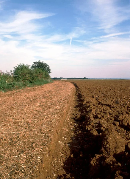 Furrow Pløjet Mark - Stock-foto