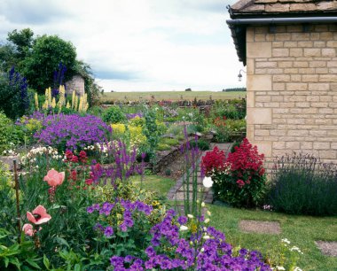 Renkli yaz bahçesi çiçek sınırları