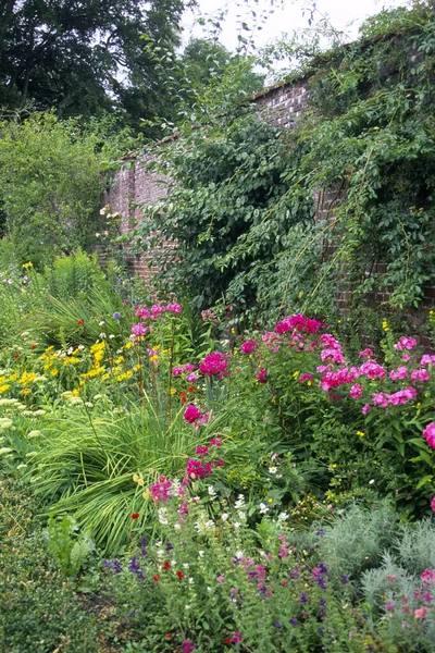 Літня Садова Межа Старою Цегляною Стіною — стокове фото