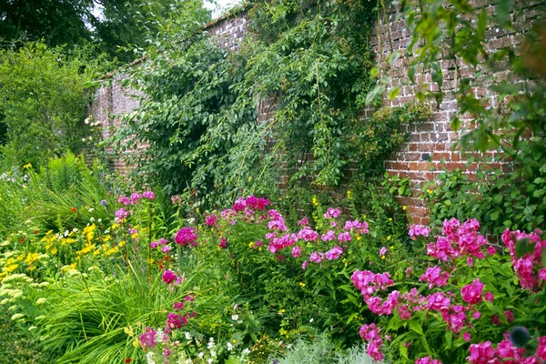 Summer Garden Border Old Brick Wall — Stock Photo, Image