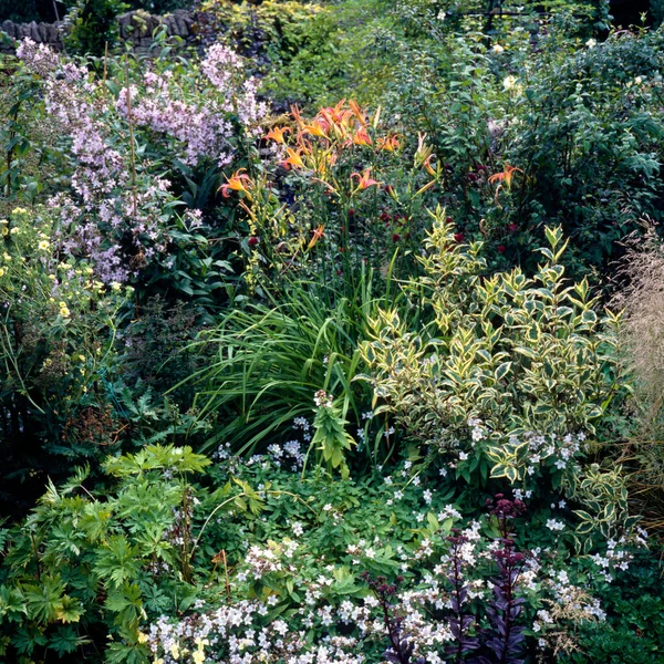 Barevné Letní Zahrada Květinové Hranice — Stock fotografie