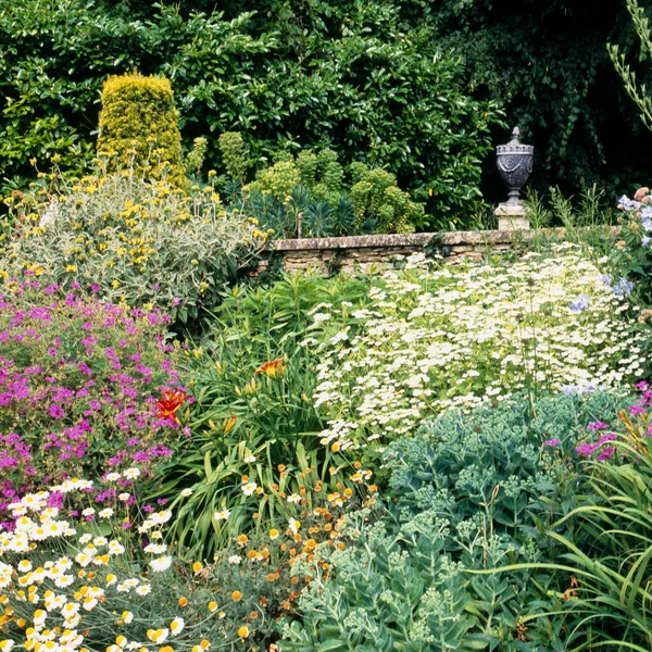 Colorati Bordi Del Fiore Del Giardino Estivo — Foto Stock