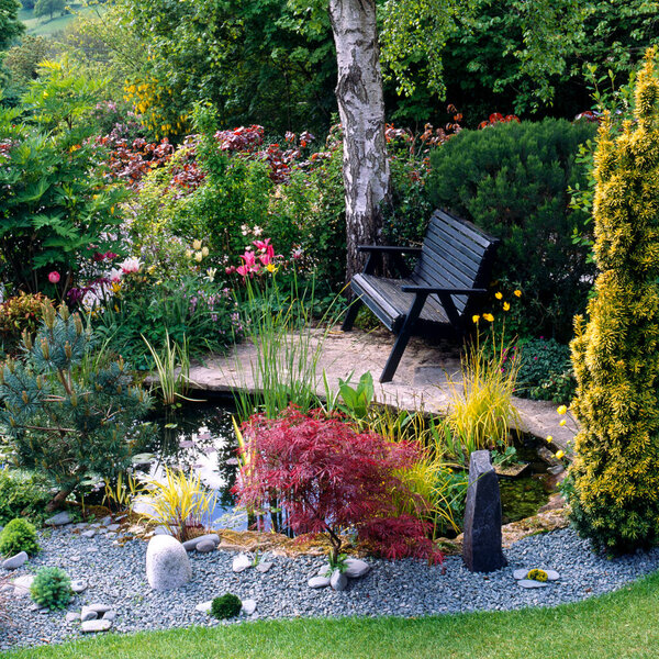 A secluded garden bench by a pond in a corner of the garden