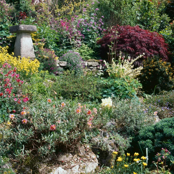 Mature Colourful Garden Border Hillside — Stock Photo, Image