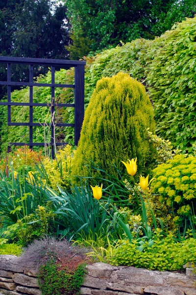 Borda Jardim Primavera Com Tema Amarelo — Fotografia de Stock