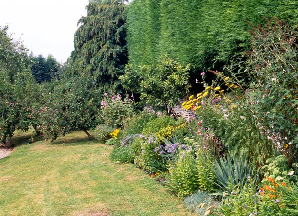 Colourful Summer Garden Flower Borders — Stock Photo, Image