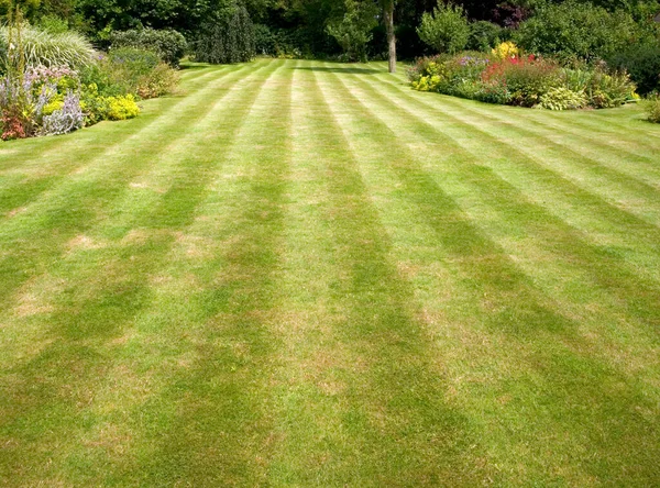 Large lawned garden with mower stripes in grass