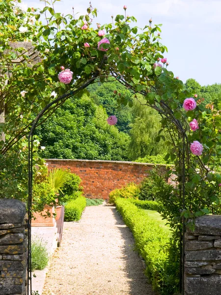 Κήπος Πύλη Αψίδα Αναρρίχηση Τριαντάφυλλα Που Οδηγεί Ένα Ηλιόλουστο Περιφραγμένο — Φωτογραφία Αρχείου