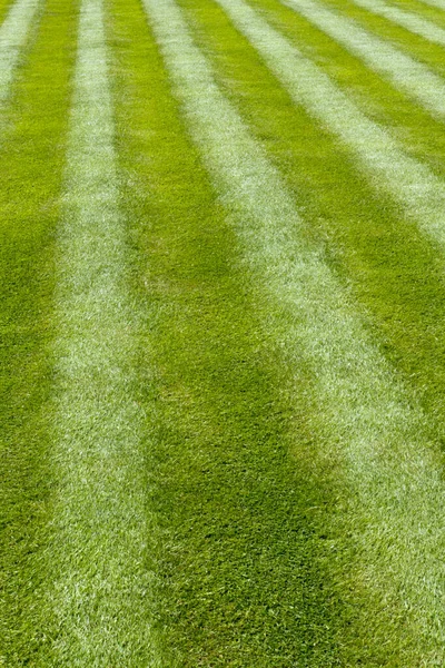 Garden Lawn Mower Stripes — Stock Photo, Image